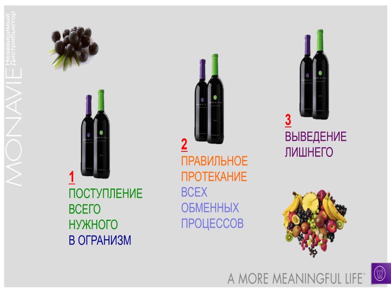 1 ПОСТУПЛЕНИЕ ВСЕГО  НУЖНОГО В ОГРАНИЗМ 2 ПРАВИЛЬНОЕ ПРОТЕКАНИЕ ВСЕХ ОБМЕННЫХ  ПРОЦЕССОВ